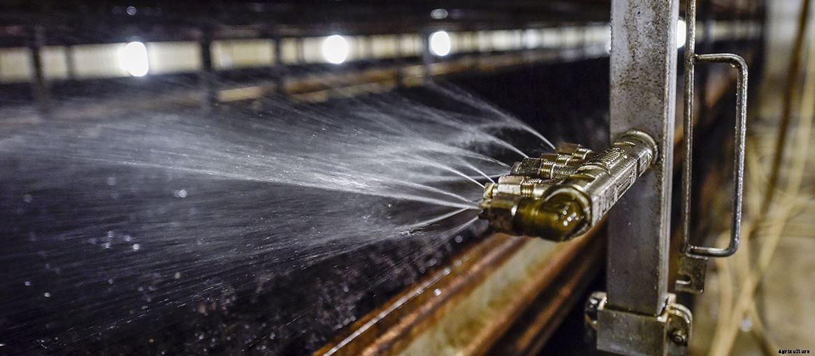 Mushroom Farming As Commercial Business | Cultivation | Procedure