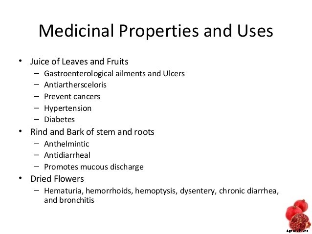 Pomegranate Farming Cultivation Information For Farmers