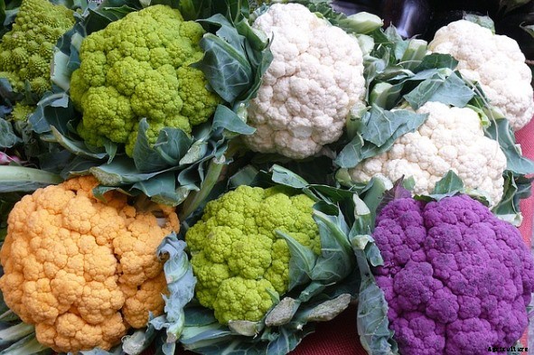 Cauliflower Farming (Ghobi) | Guide & Information