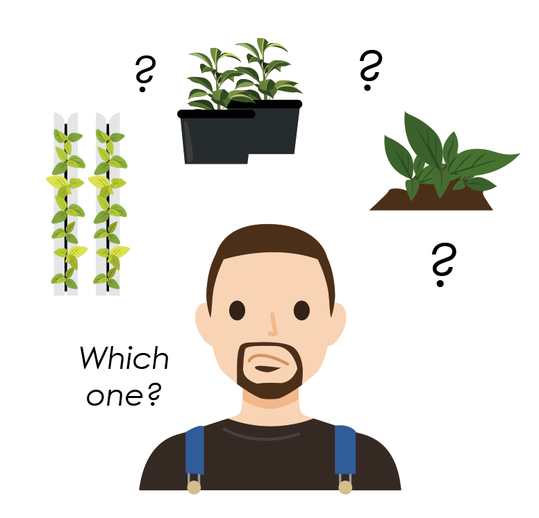 How To Start Growing With The Kratky Method