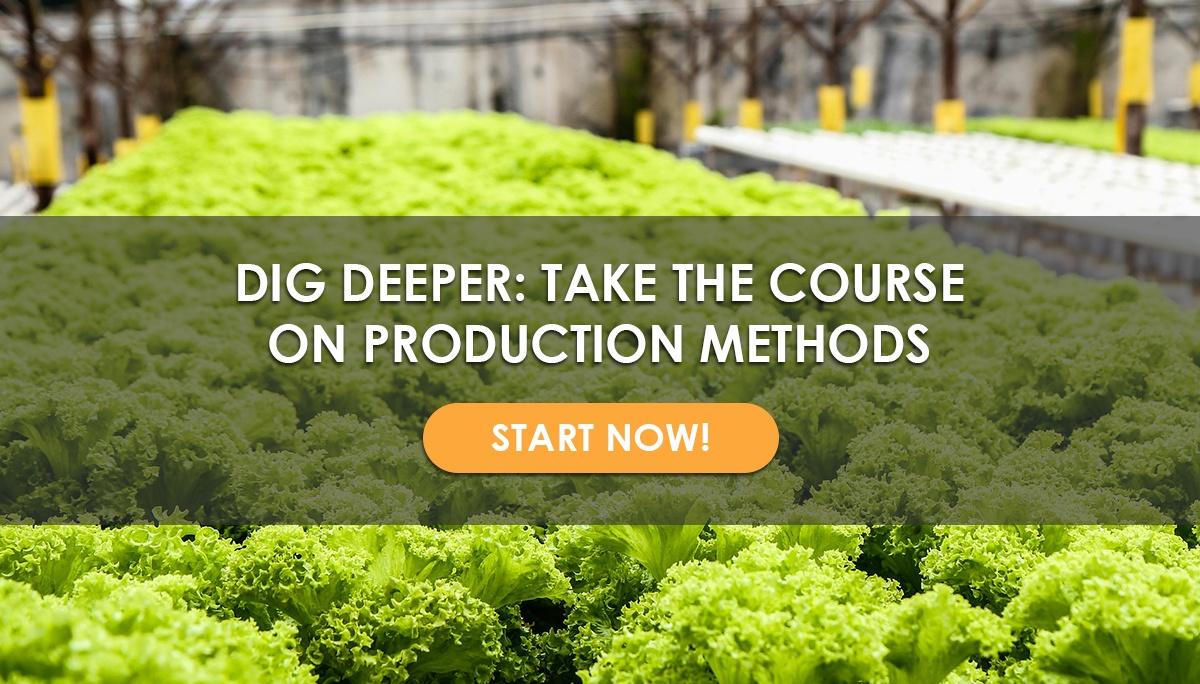 How To Start Growing With The Kratky Method