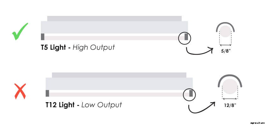 How To Choose Fluorescent Grow Lights For Your Farm