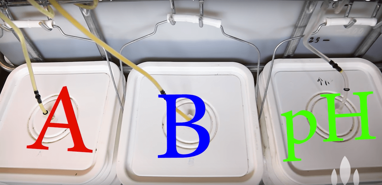 Why Choosing Automated Dosing Systems is a Profitable Investment