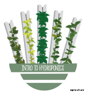 The Top 5 Courses for Indoor Farmers