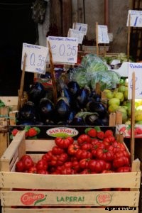 The 3 Most Important Factors for a Profitable Farm