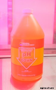 What You Need to Know About pH in Hydroponics