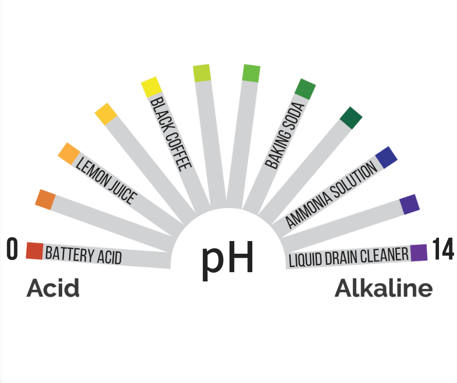 What You Need to Know About pH in Hydroponics