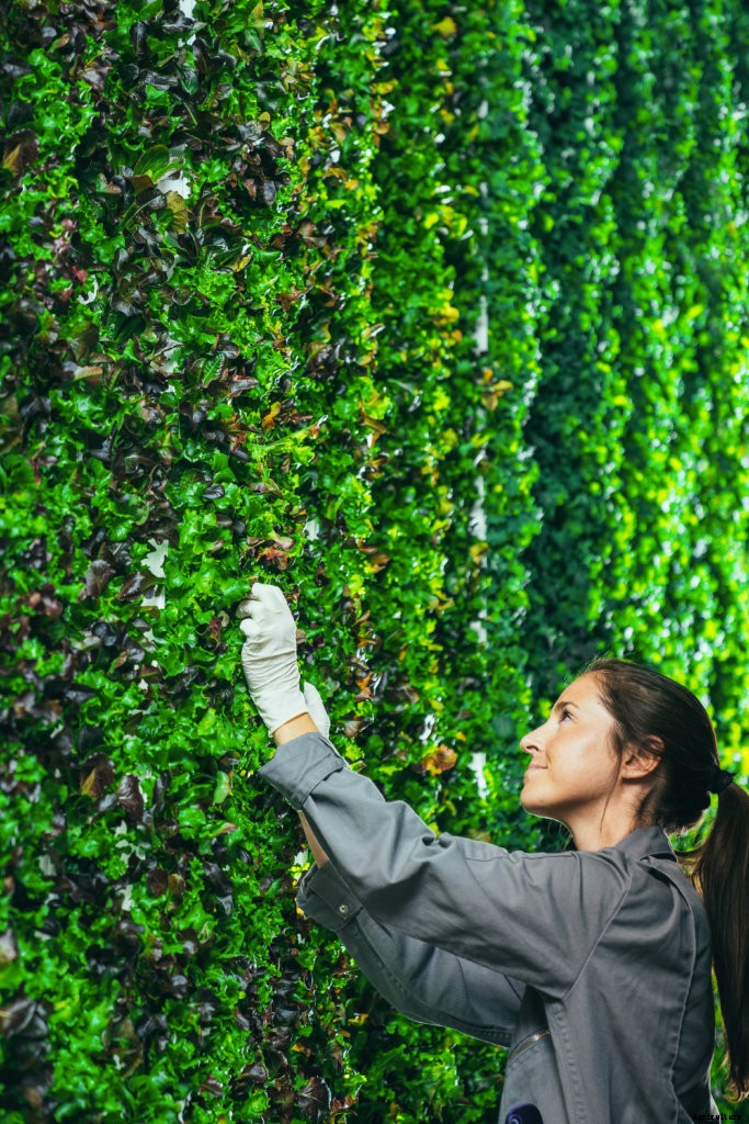 As Foreign Nations Invest Big, the Farm Bill is an Opportunity to Demonstrate American Leadership in Indoor Agriculture