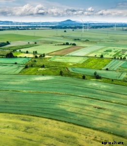 Here’s What You Need to Know About The Farm Bill