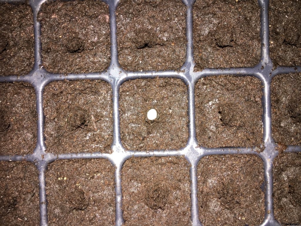 How to Accurately Compensate for Seedling Loss