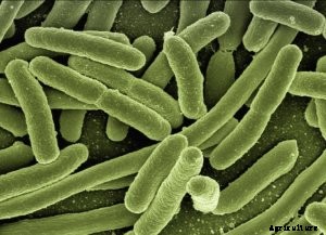 5 Food Safety Best Practices You Need to Know