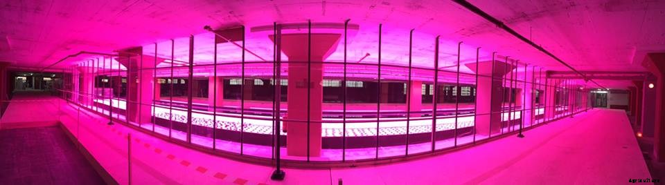 Aquaponics & Autism in the Netherlands—A Farmer Spotlight