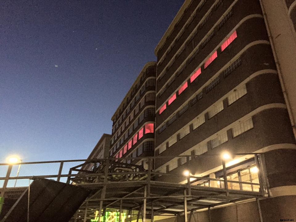 Aquaponics & Autism in the Netherlands—A Farmer Spotlight