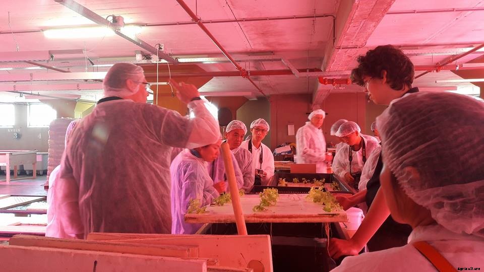 Aquaponics & Autism in the Netherlands—A Farmer Spotlight