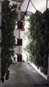 Bringing Fresh to the Frozen State—A Farmer Spotlight