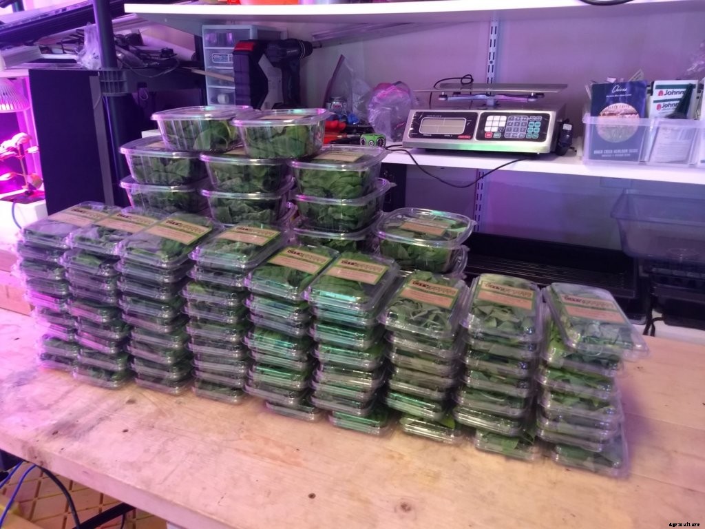 Bringing Fresh to the Frozen State—A Farmer Spotlight