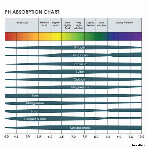 The Quick Reference Guide for Aquaponic Farmers