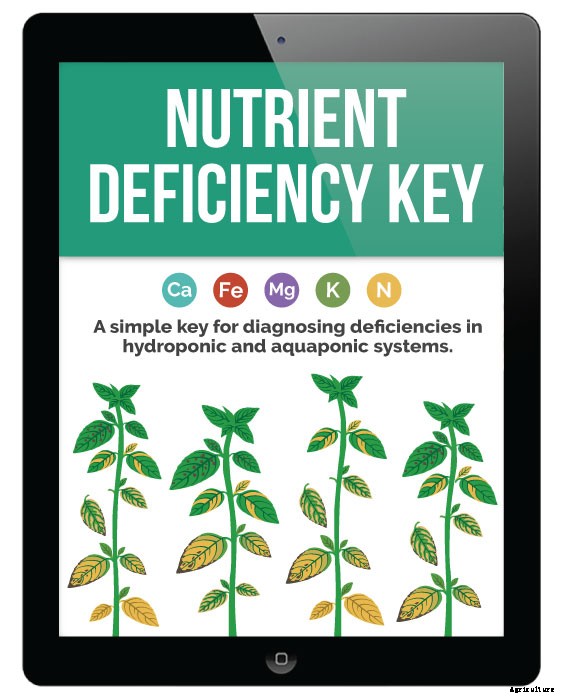 How to Identify a Calcium Deficiency in Aquaponics