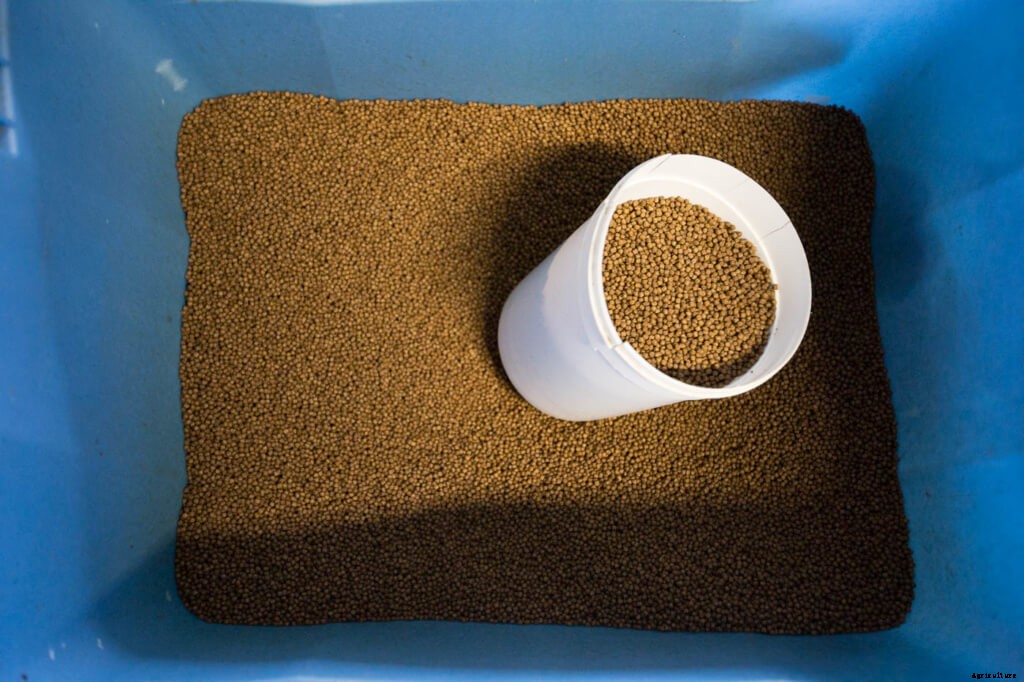 6 Things You Need to Know About Potassium in Aquaponics