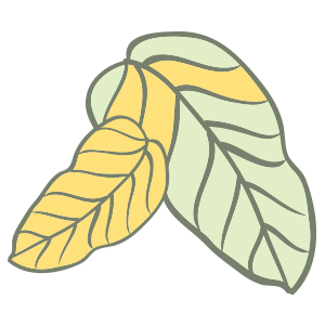 The Beginner’s Guide to Iron in Aquaponics