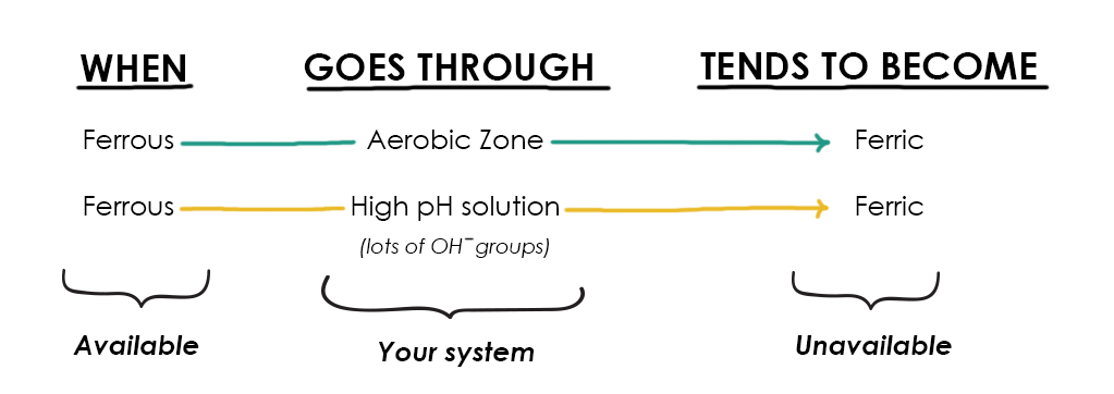 The Beginner’s Guide to Iron in Aquaponics
