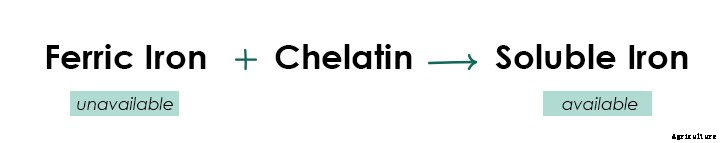The Beginner’s Guide to Iron in Aquaponics