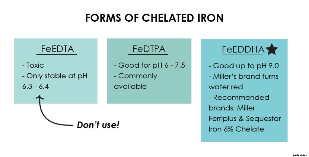 The Beginner’s Guide to Iron in Aquaponics