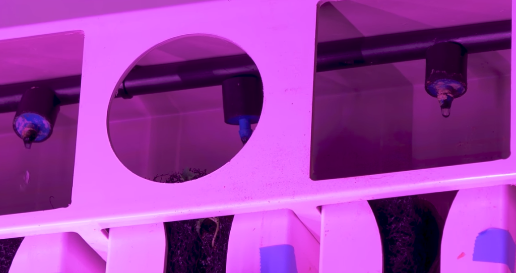 Hydroponic Drip Emitters: What You Need to Know