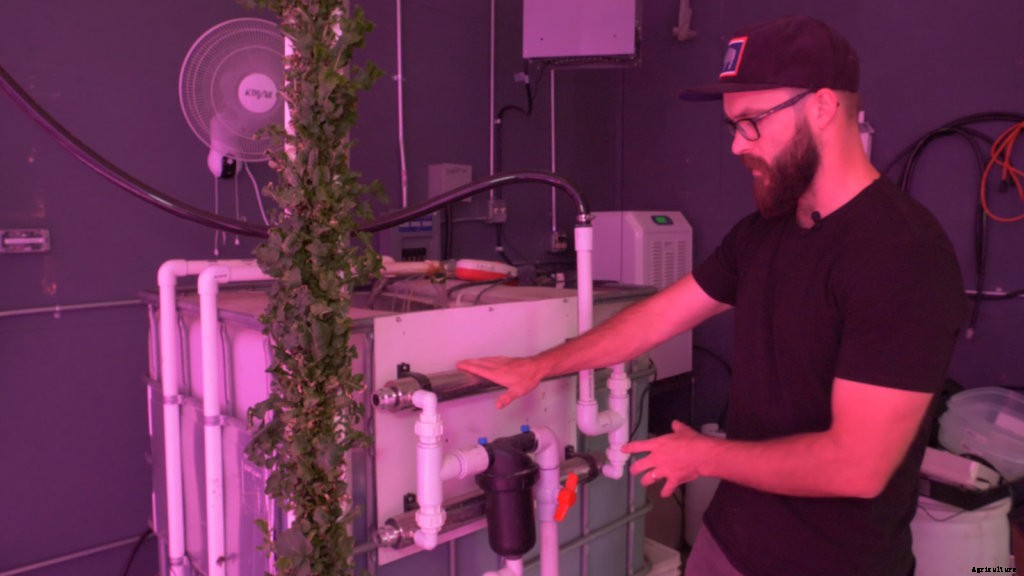 Plumbing in Hydroponics: What You Need to Know About Valves
