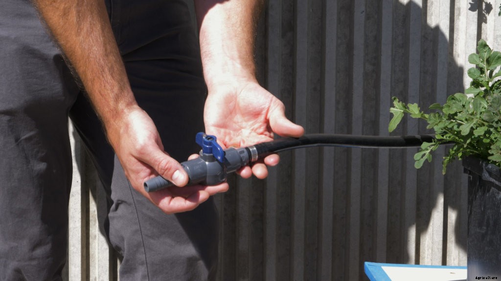 Plumbing in Hydroponics: What You Need to Know About Valves