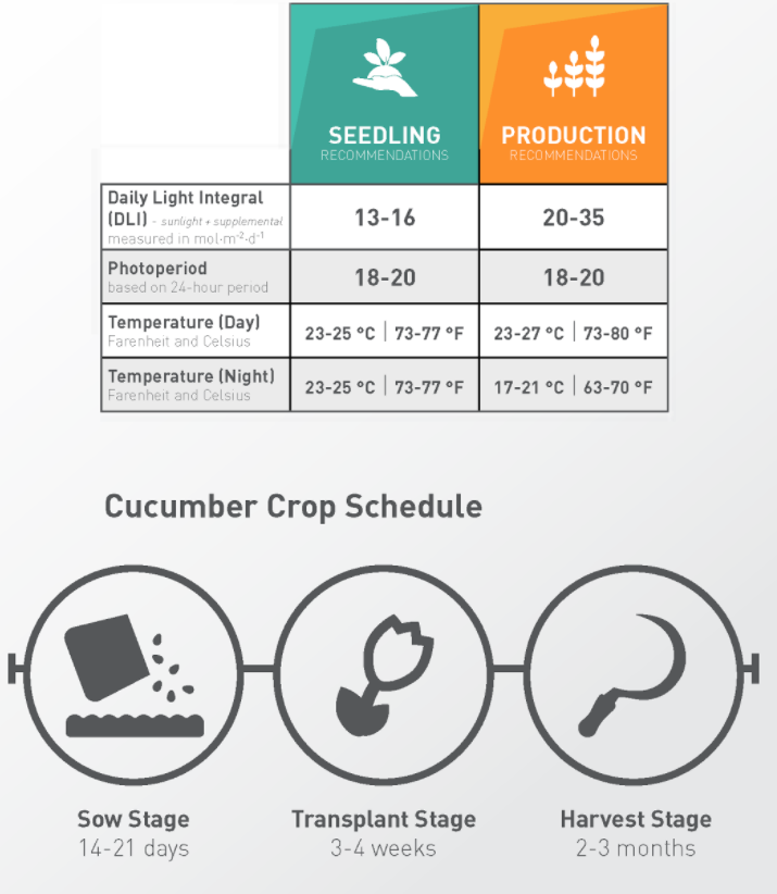 What You Missed at the LumiGrow Expert Panel