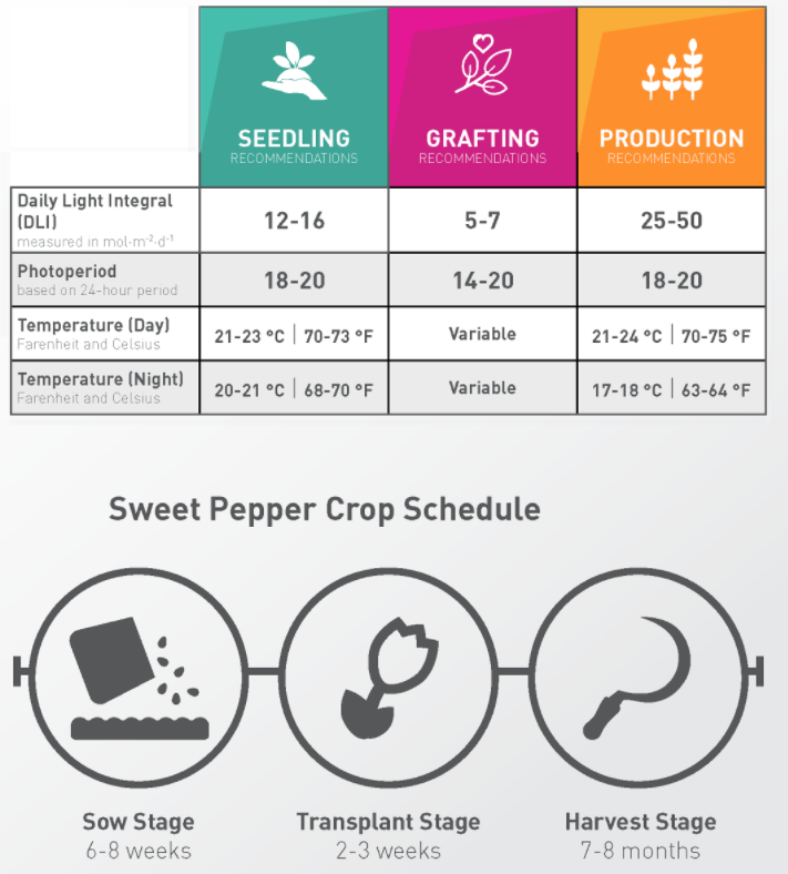 What You Missed at the LumiGrow Expert Panel