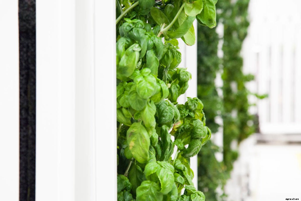 How to Sanitize and Sterilize Hydroponic Systems