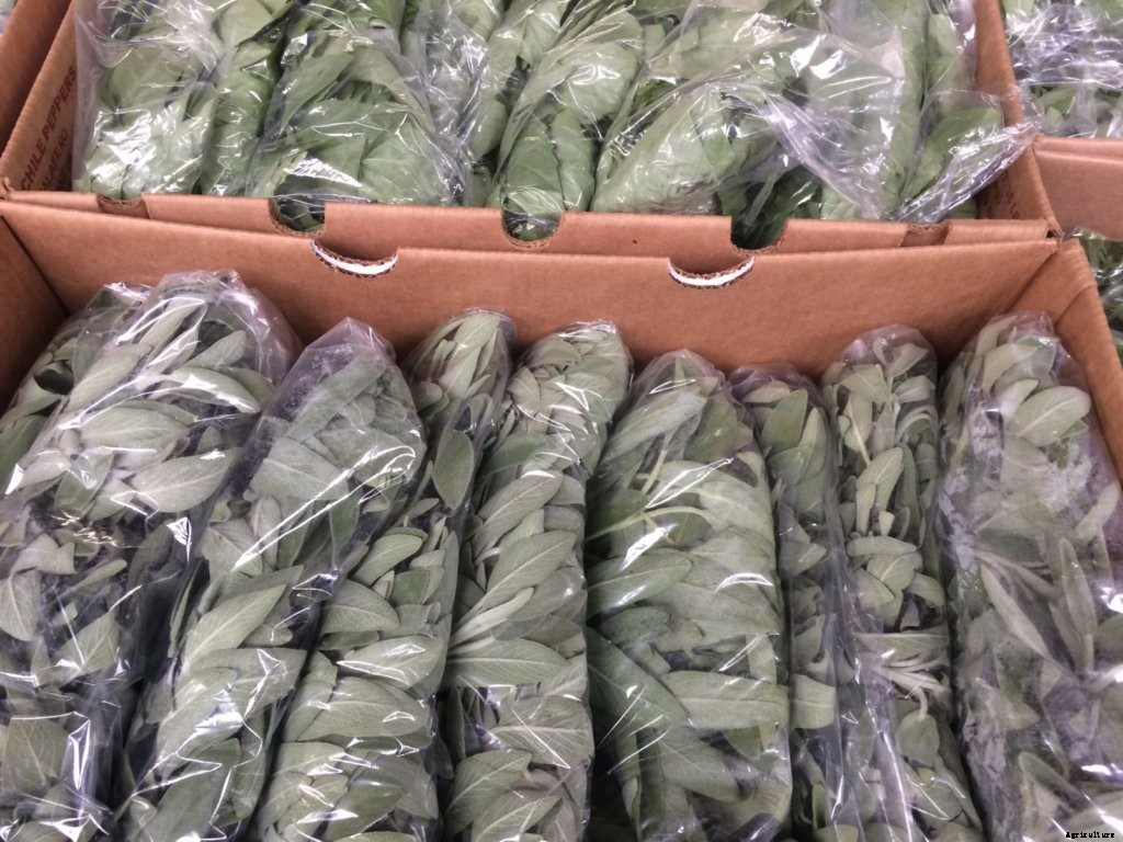 What to Look For in Produce Packaging