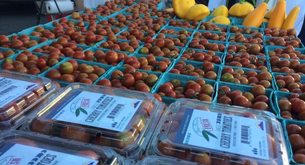 What to Look For in Produce Packaging