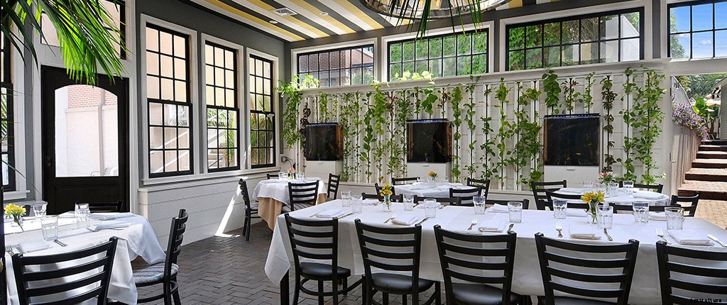 Aquaponics Vs. Hydroponics: Which is Better?