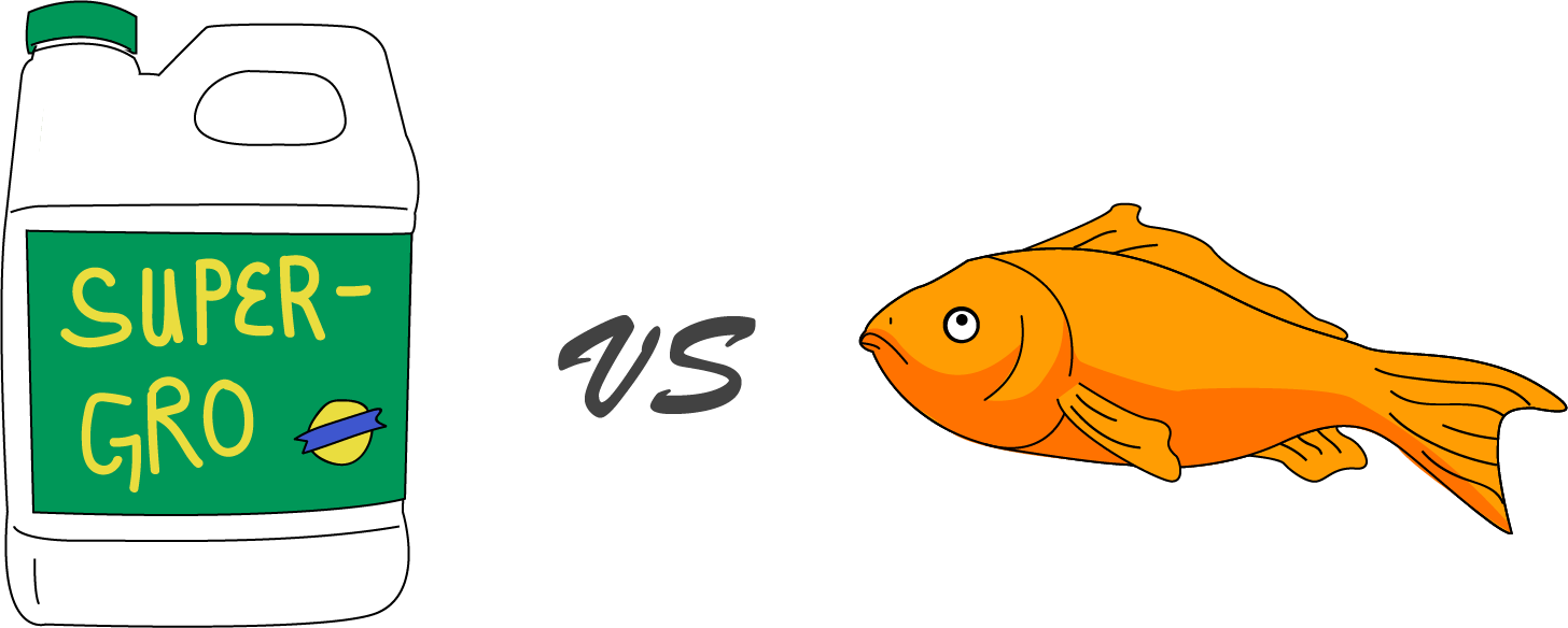Aquaponics Vs. Hydroponics: Which is Better?