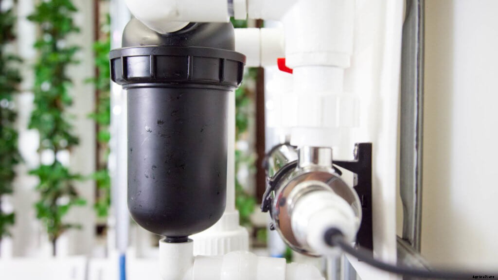 Aquaponics Vs. Hydroponics: Which is Better?