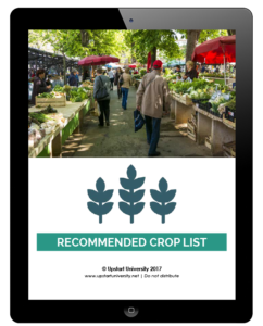 Everything You Need to Know About Growing Nasturtiums in Hydroponics