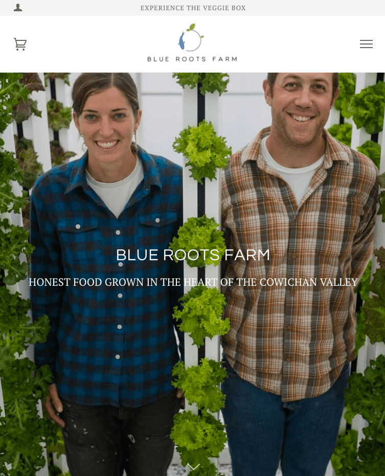 How to Build a Website For Your Farm