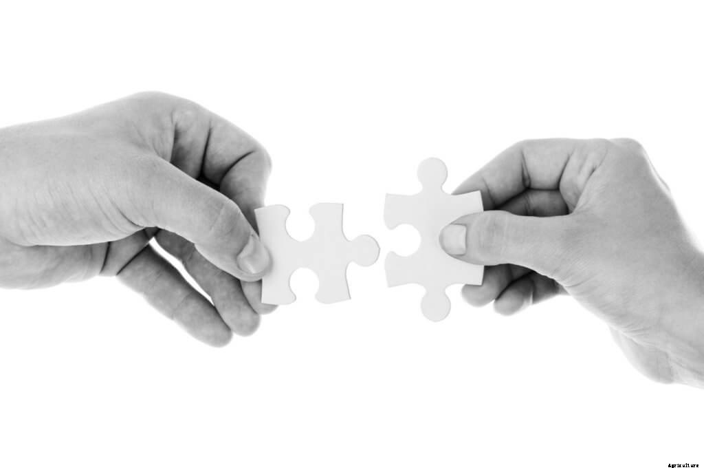 How to Choose the Right Farm Business Partner