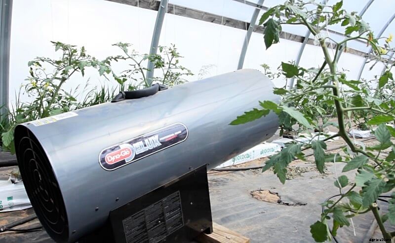 4 Simple Ways to Upgrade Your Hoop Houses this Summer