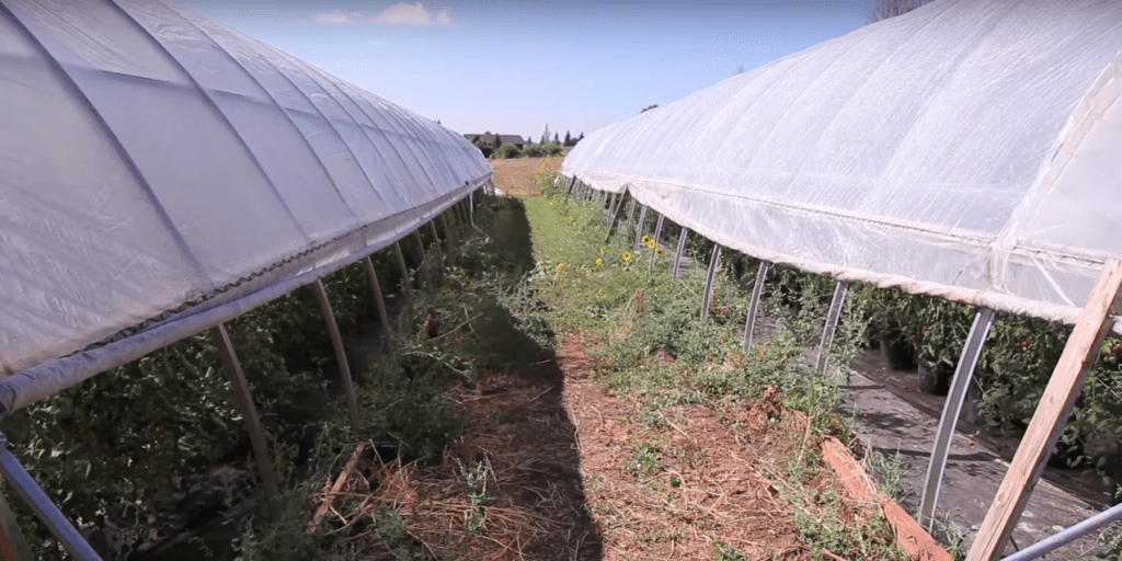 4 Simple Ways to Upgrade Your Hoop Houses this Summer
