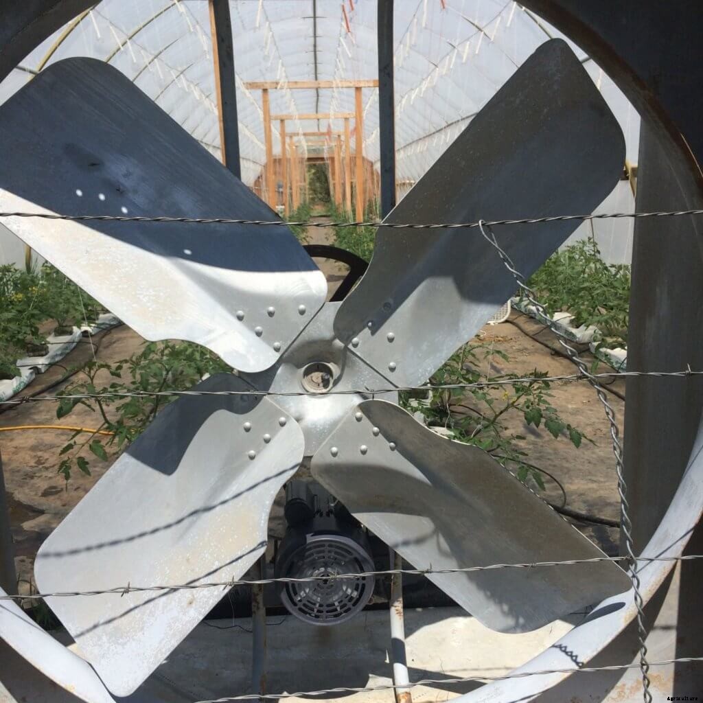 4 Simple Ways to Upgrade Your Hoop Houses this Summer