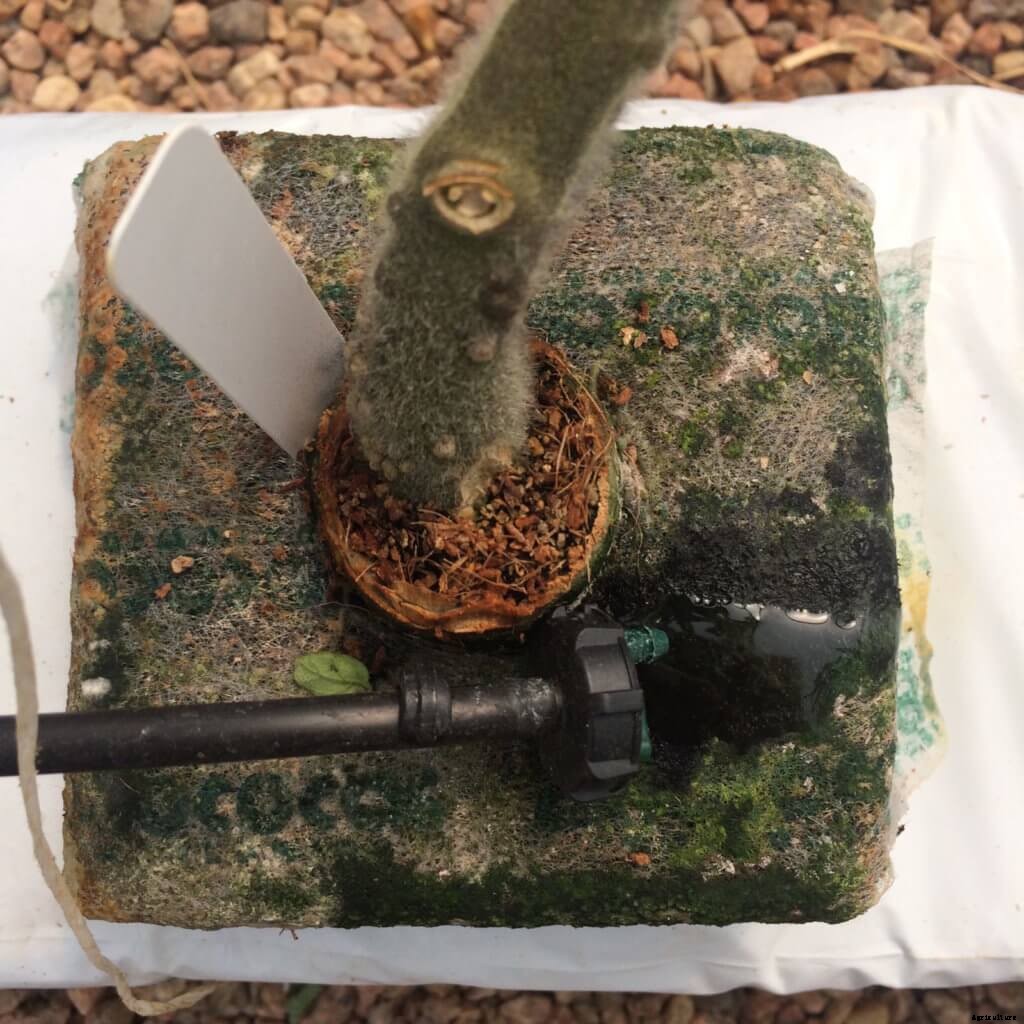 4 Simple Ways to Upgrade Your Hoop Houses this Summer