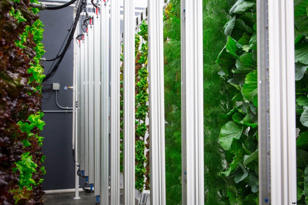 City Zoning & Why It’s Important to Urban Farmers