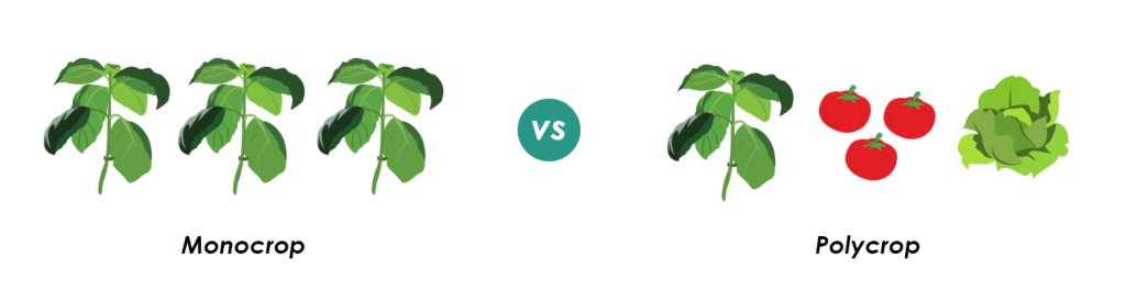 Pros & Cons of Crop Diversification for Indoor Farmers