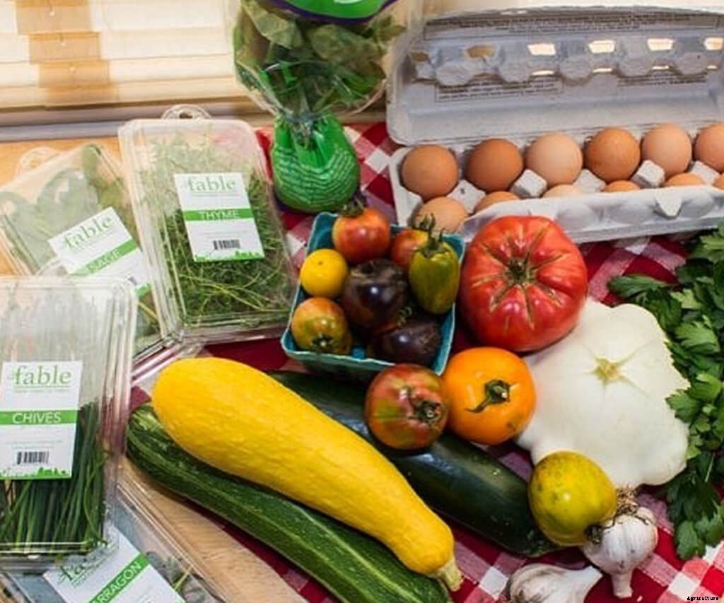 Pros & Cons of Crop Diversification for Indoor Farmers