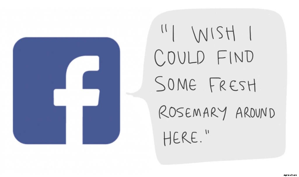 Why You Should be Using Social Media for Your Farm