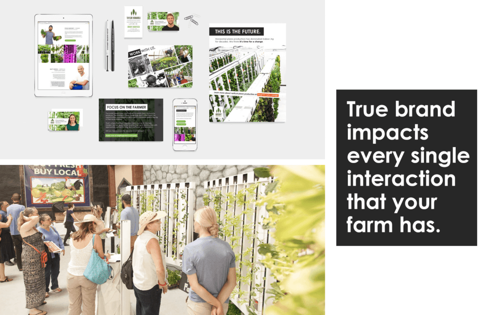 How to Design a Successful Farm Brand